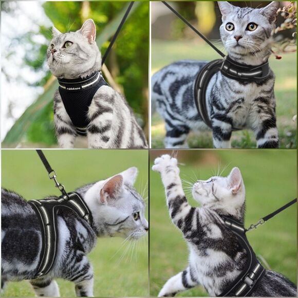 🔹️NIB Black Cat or Dog Reflective Harness & Leash Small - Picture 14 of 16